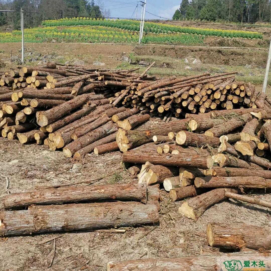 爱木头木材加工厂