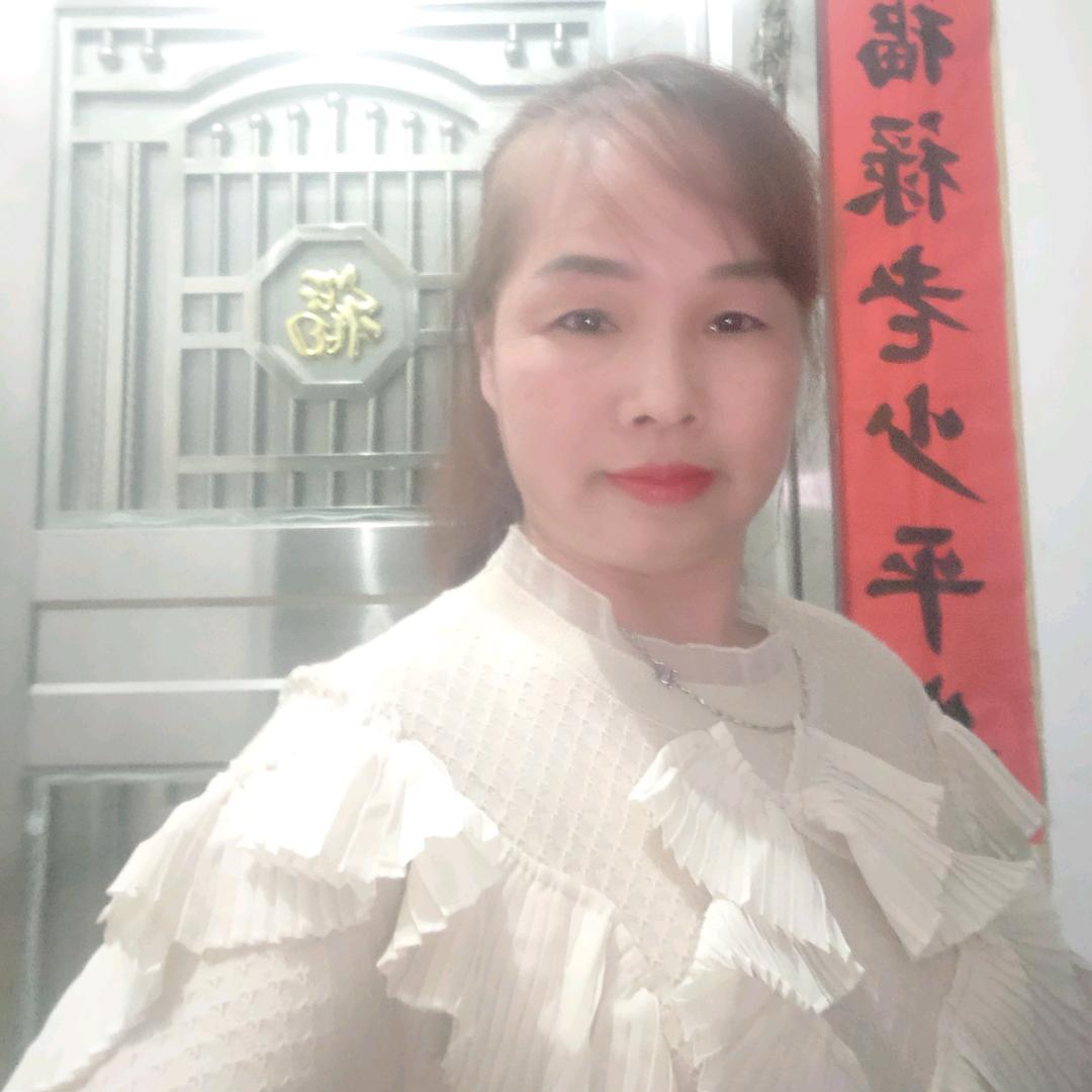 琴