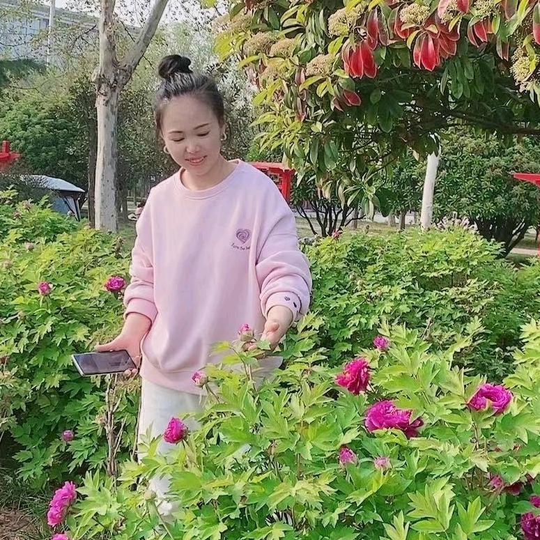 爱饰家海清(新安县)