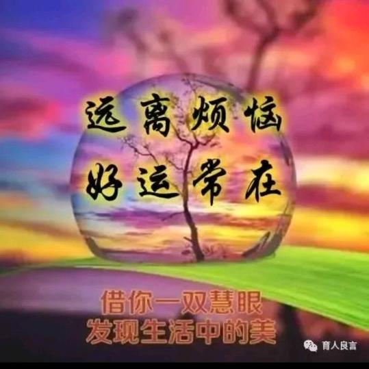 顺理成♥张