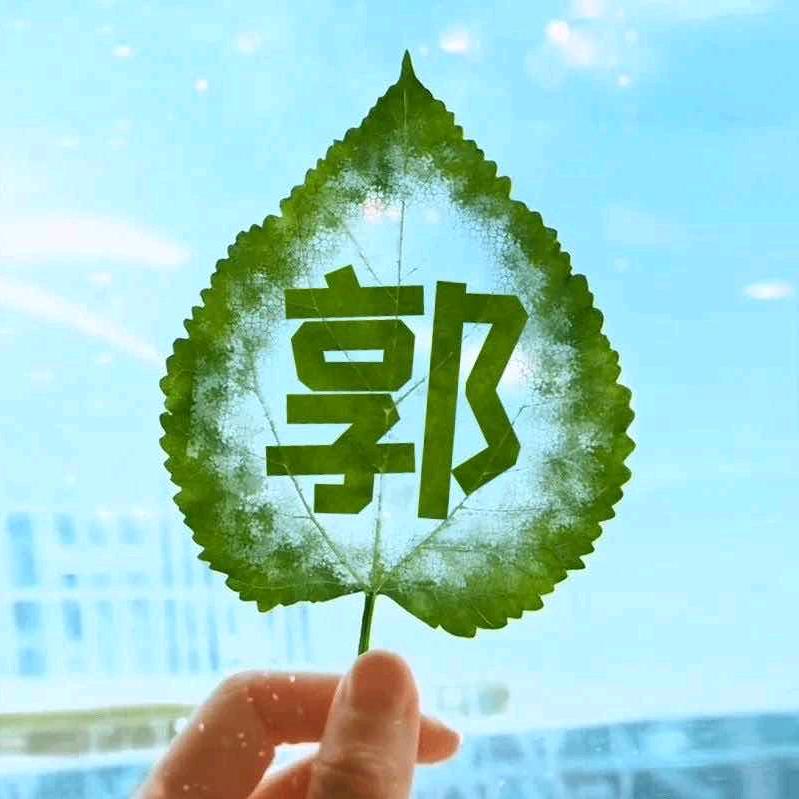 北纬X麻辣香郭