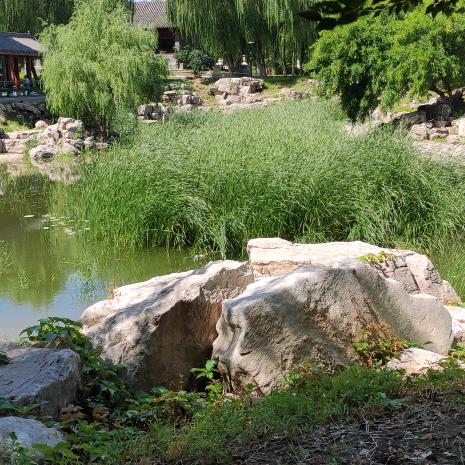 雁鸣湖纳豆(石家庄店)