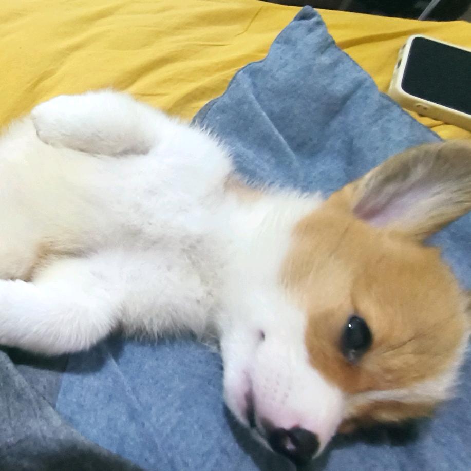 话不投机半句多