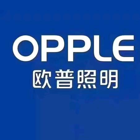 莲花欧普照明-严金鹏