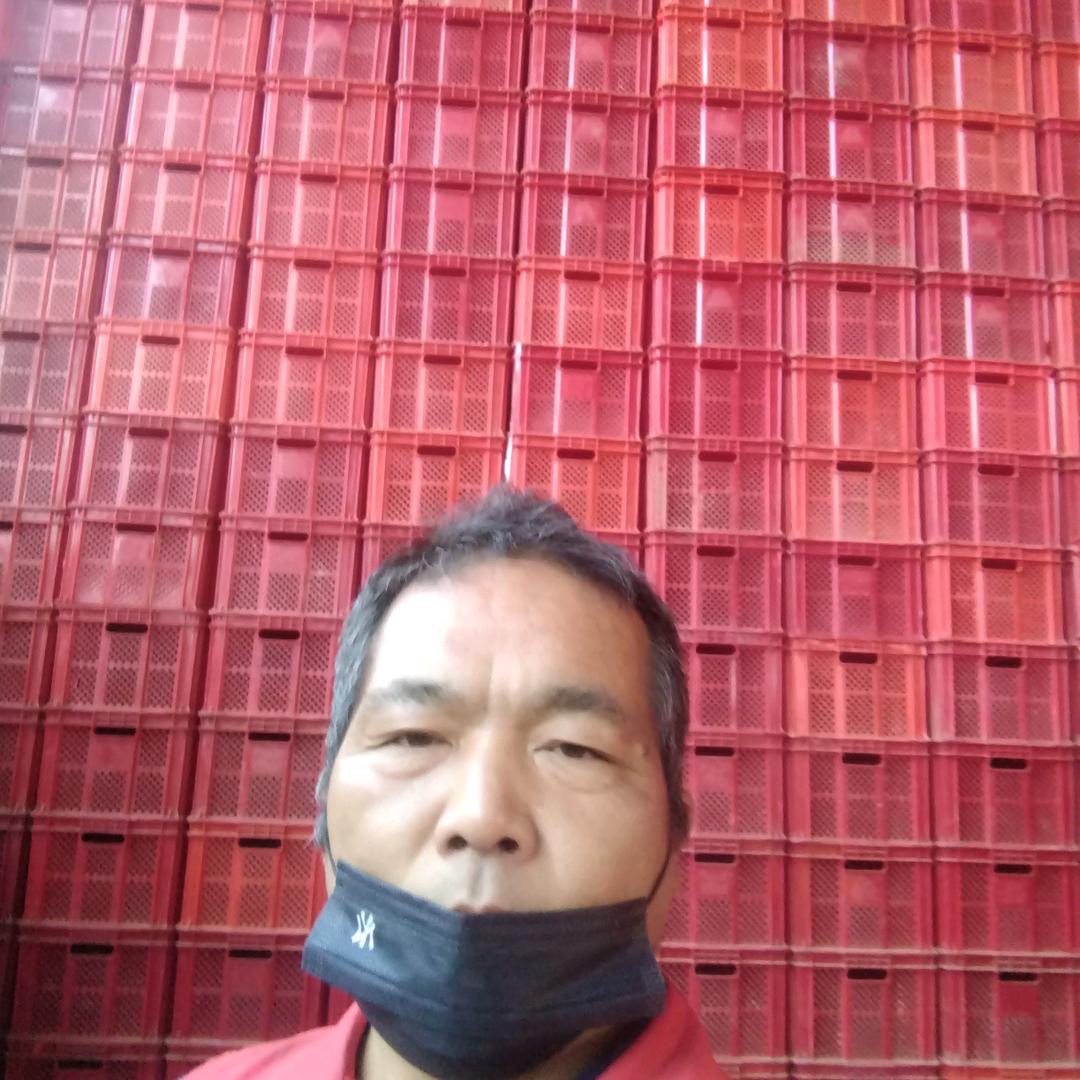行动
