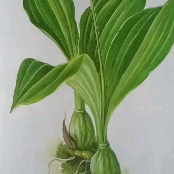 朱仲富专业腻子