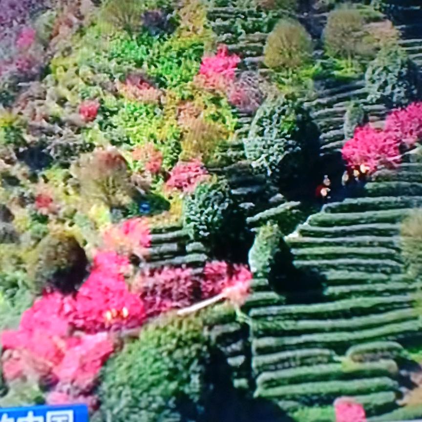用户3073733004051