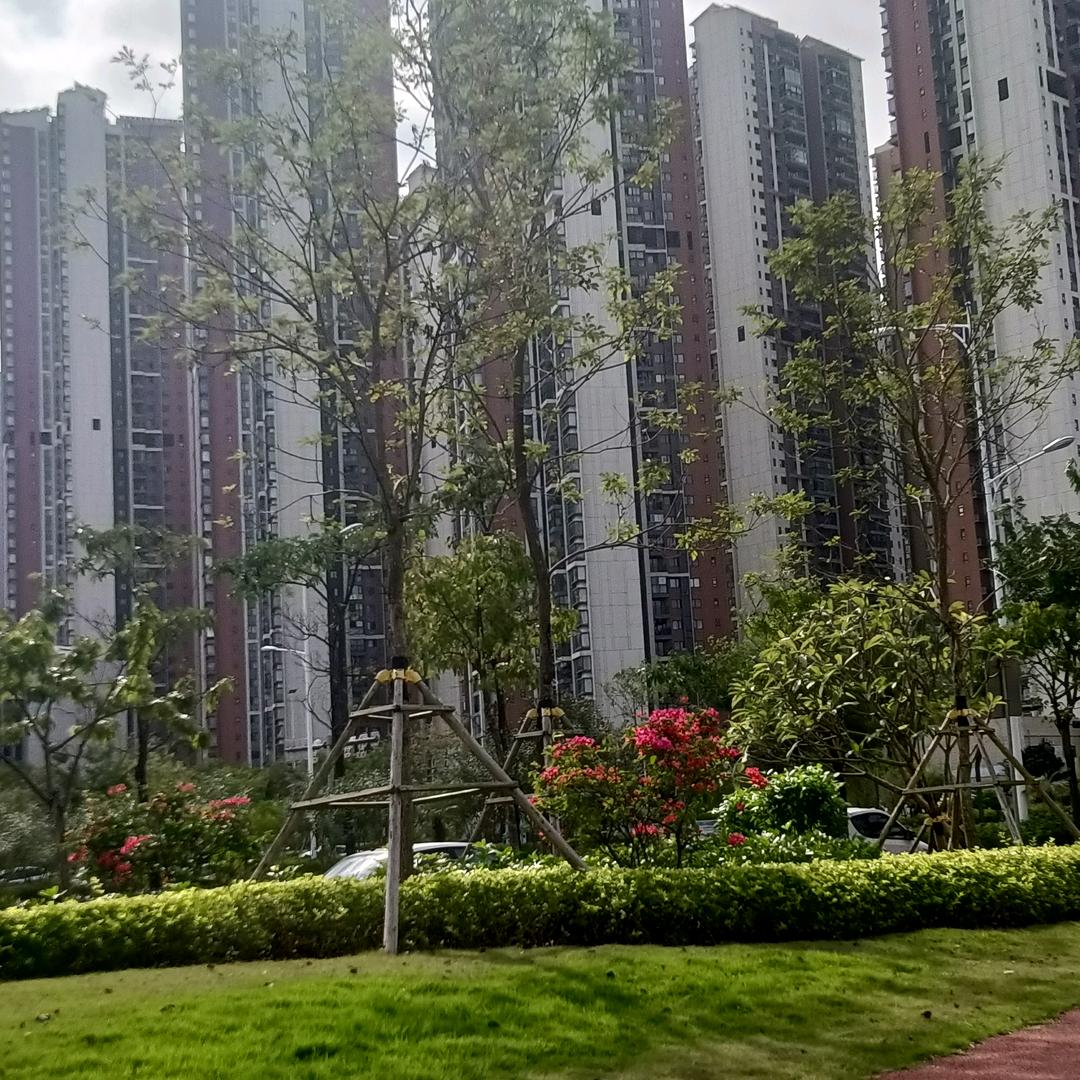 细水长流