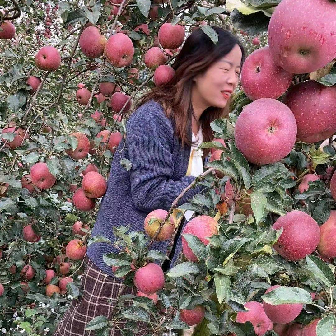 新鲜应季水果产地供应