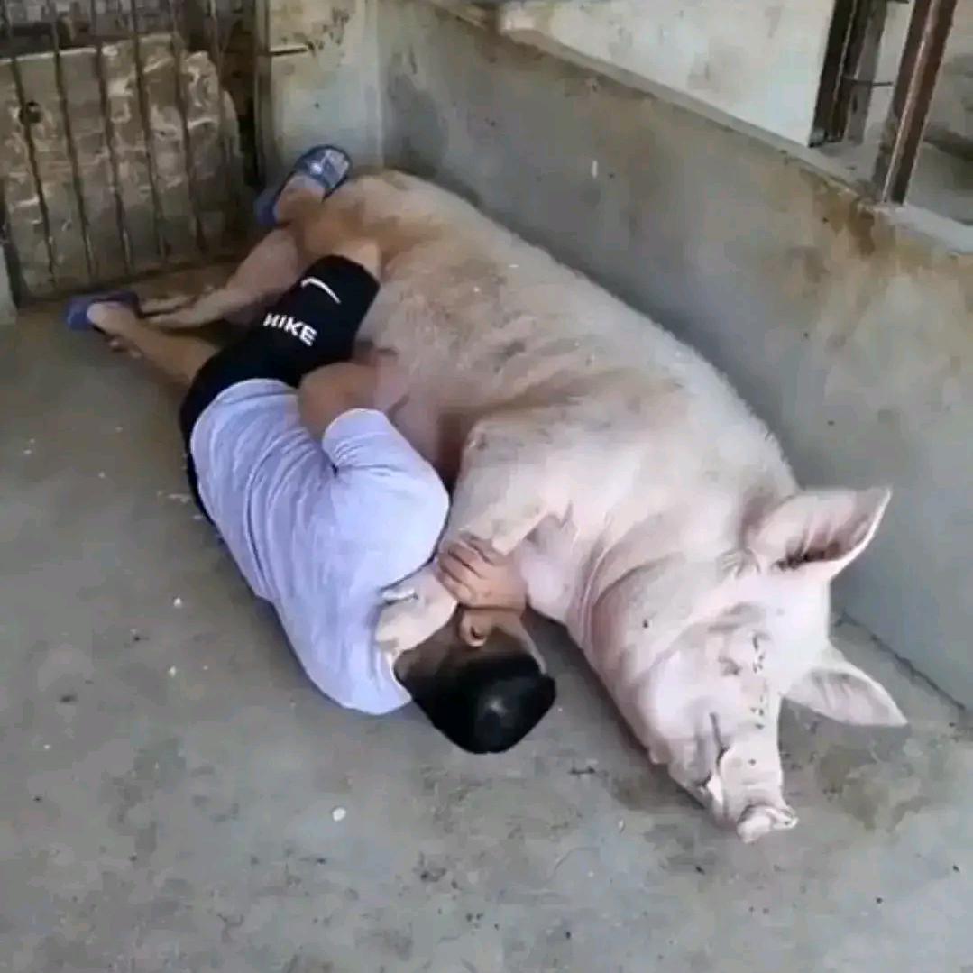 哆B嗦