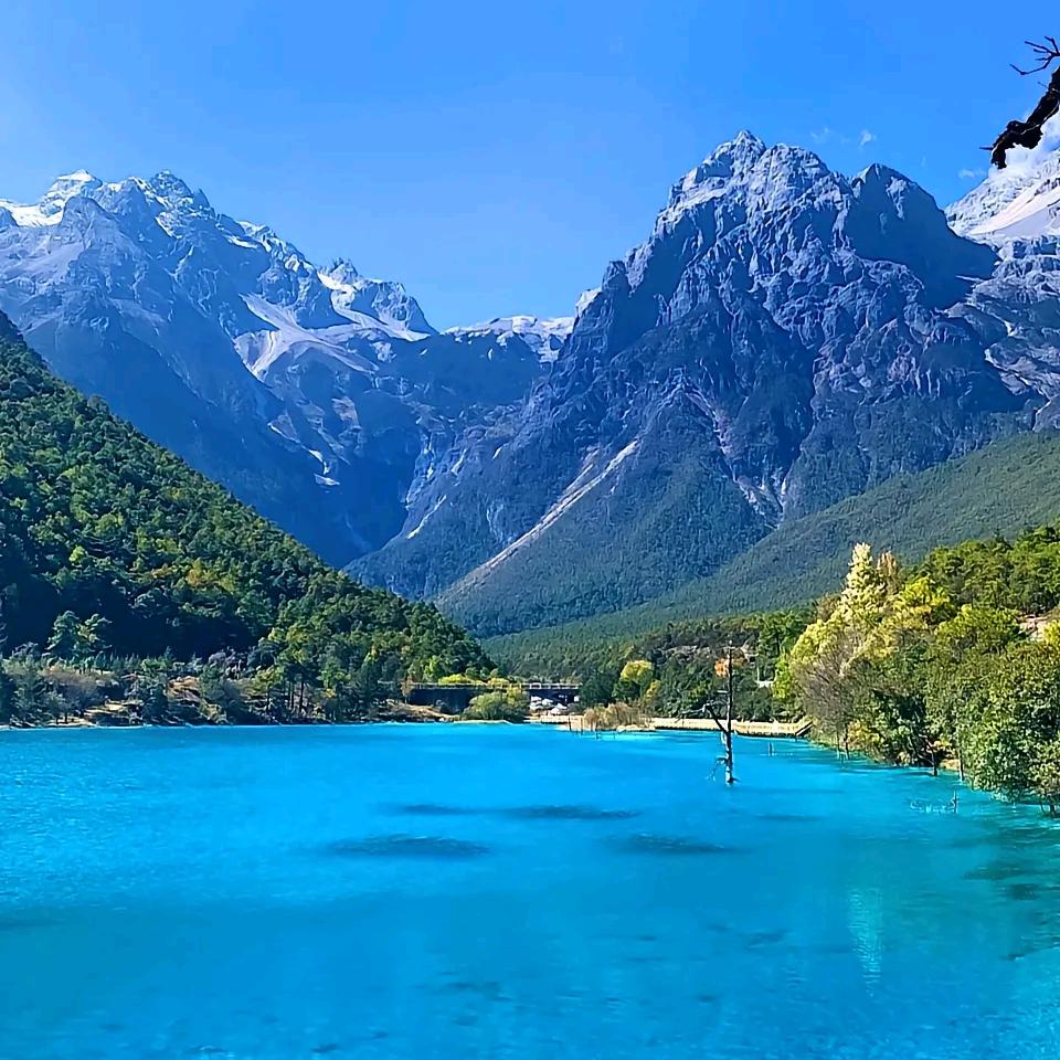 木业自动化机械，胶合板全套设备