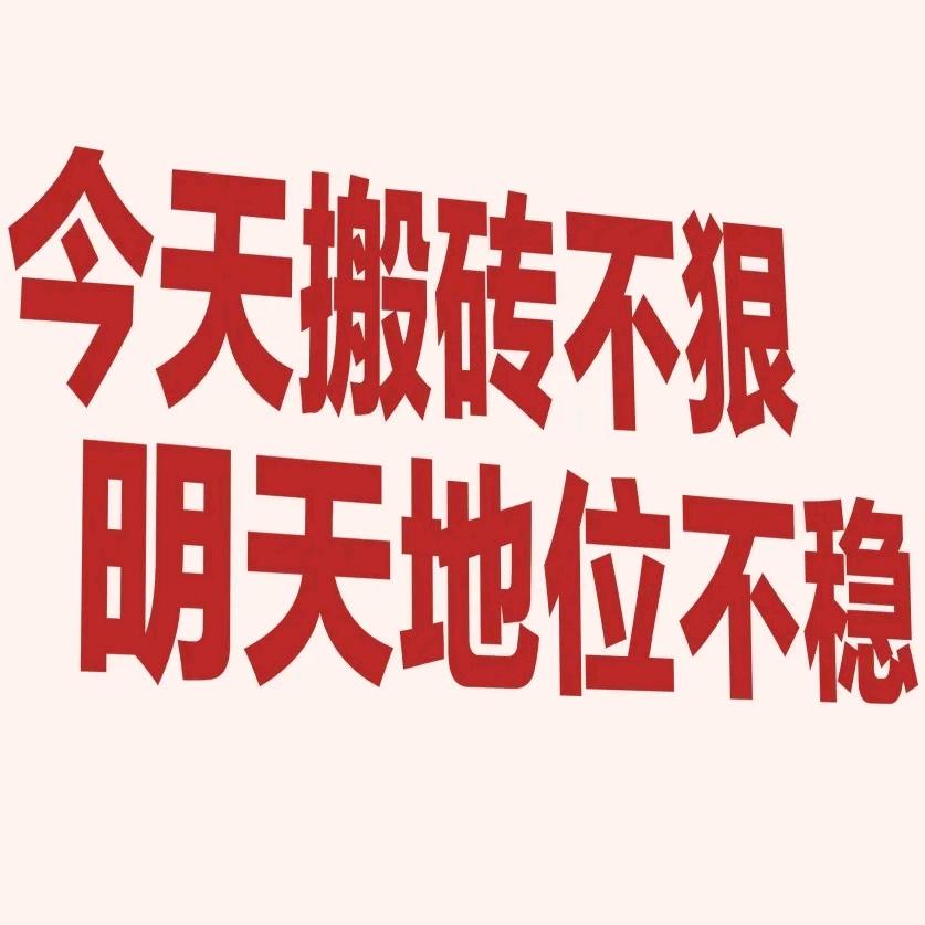 会搬砖的石头