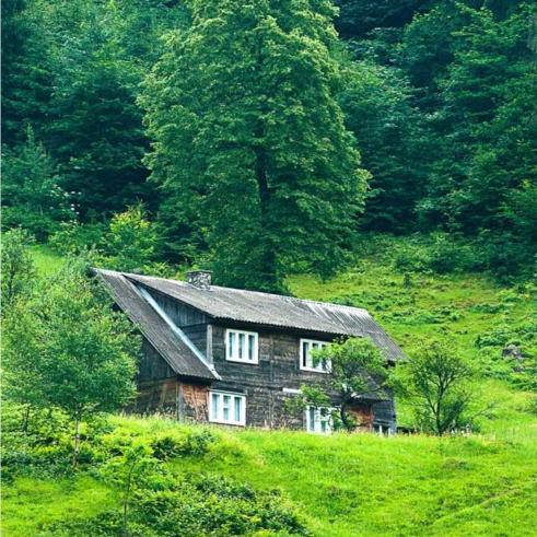 虎山