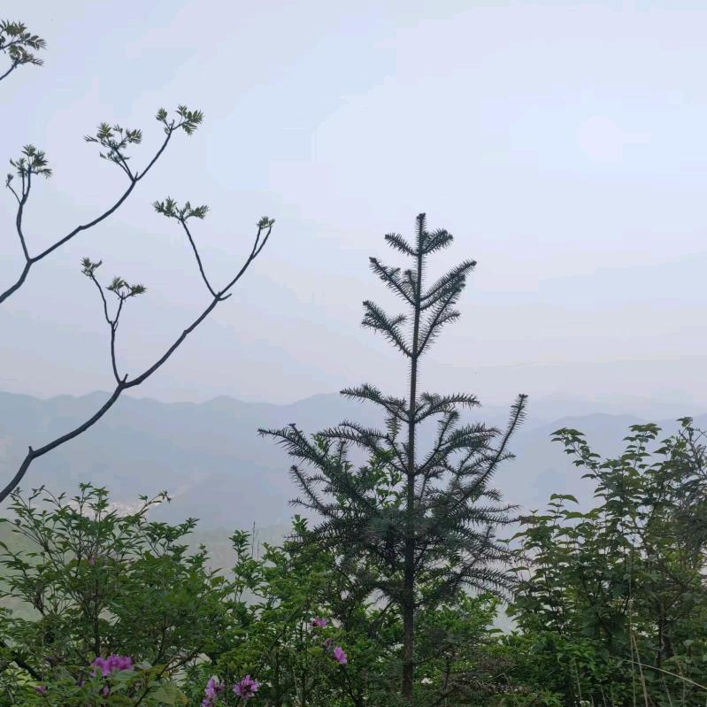 随波漂流