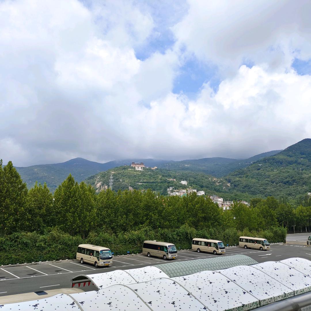 雲青