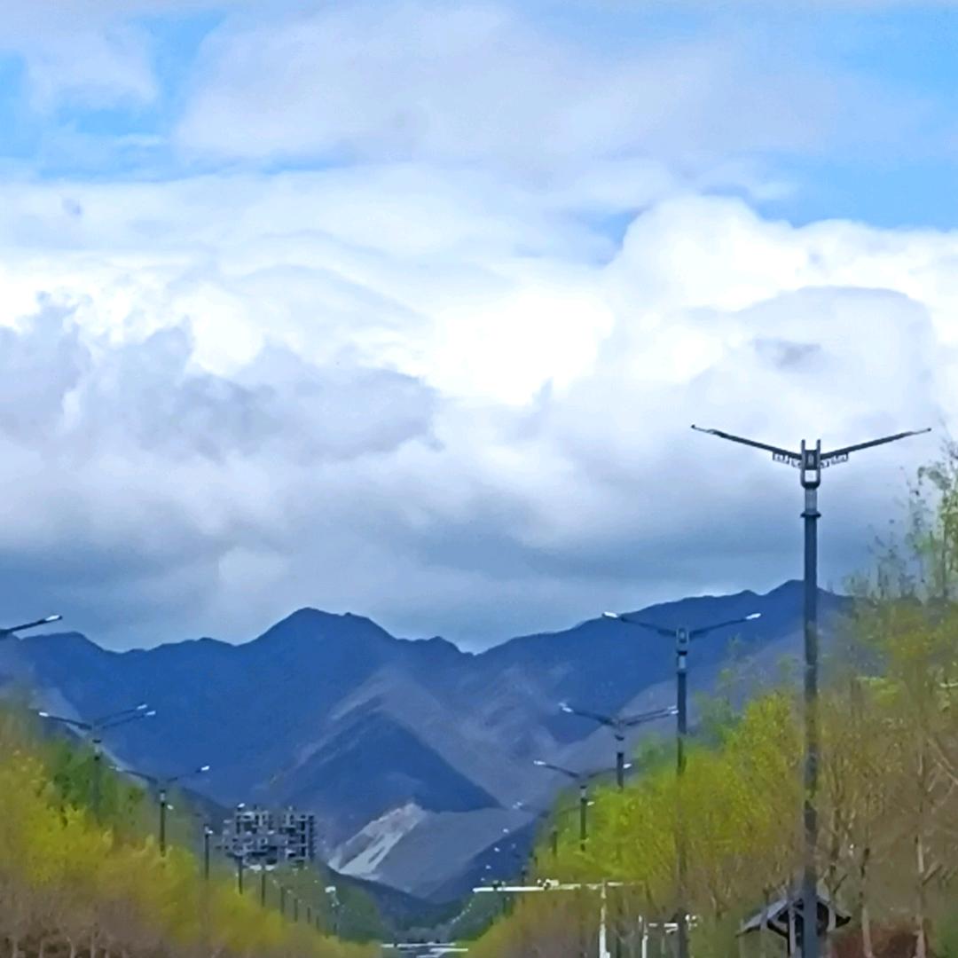 向阳🌻