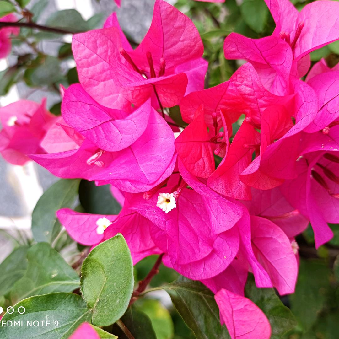 👉看点👈✔️