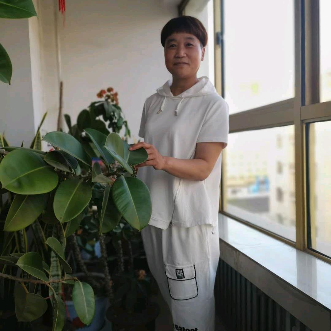 淡淡稻花香