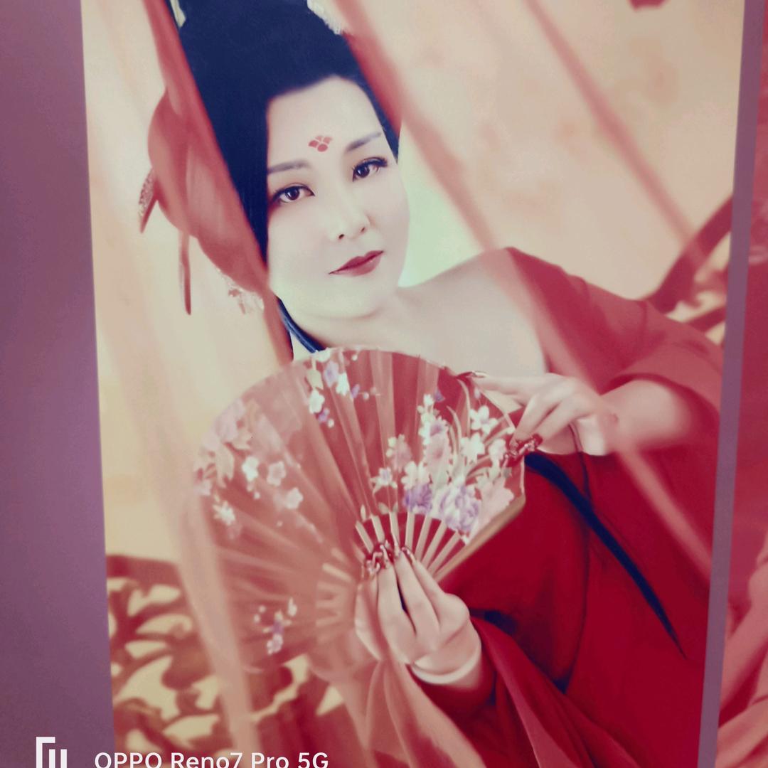 放羊的星星520南风玫瑰