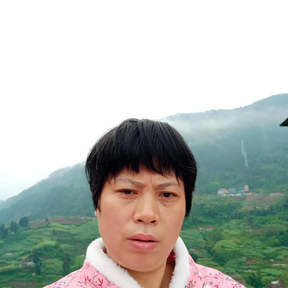 胡姐海带批发