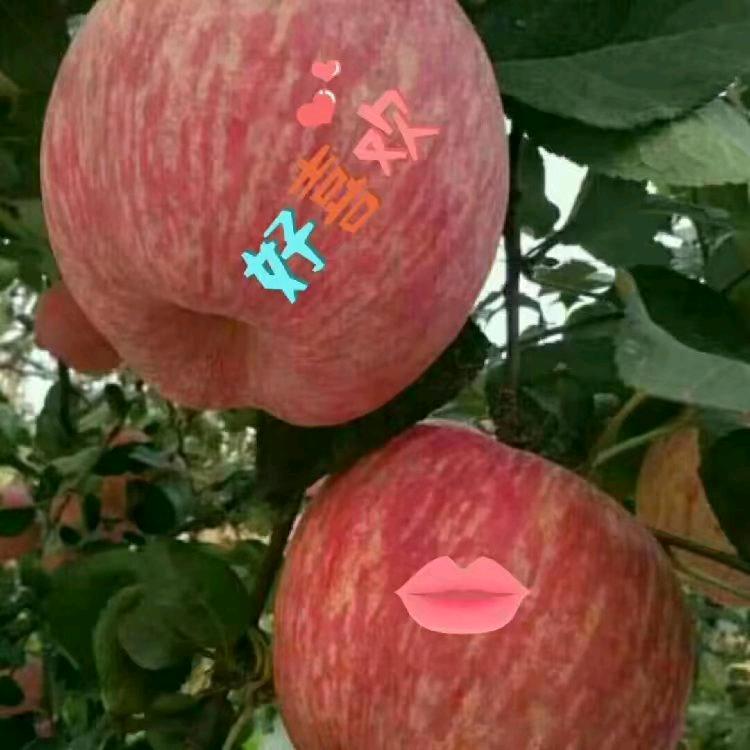于际超