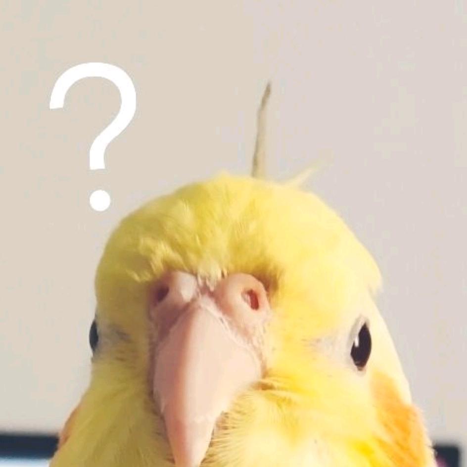 mmy