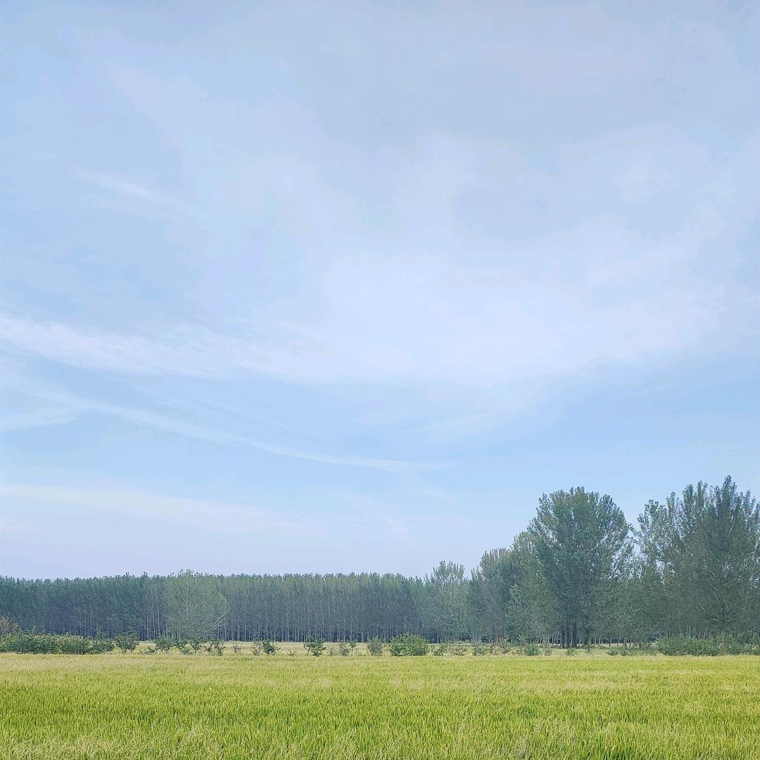 🍑明天你好🍑