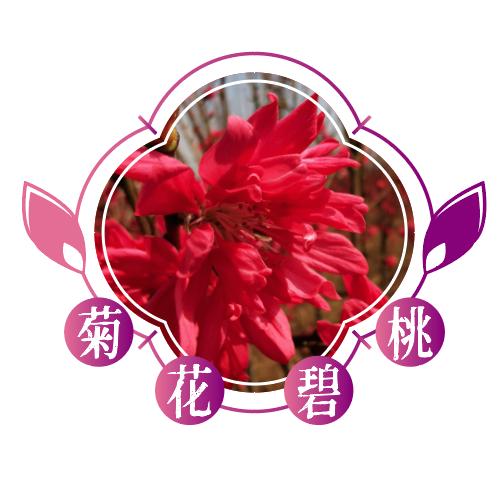 鄢陵县培林园林绿化工程有限公司