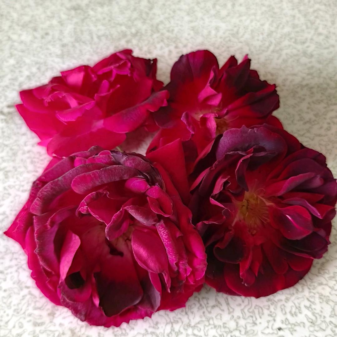 秀花