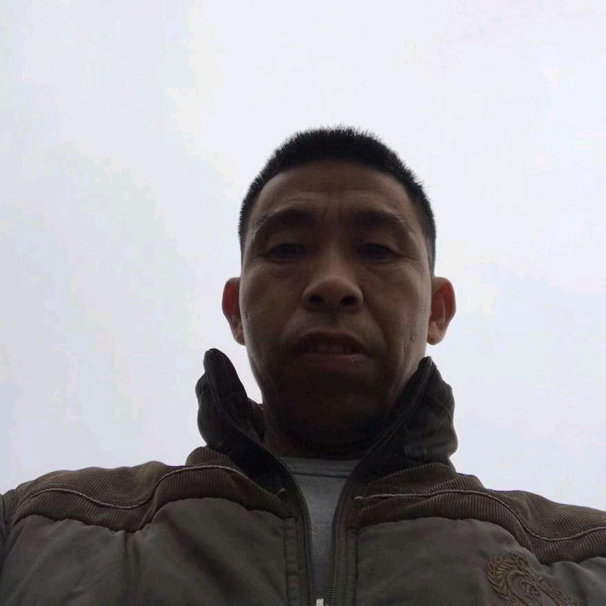 随风飘泊