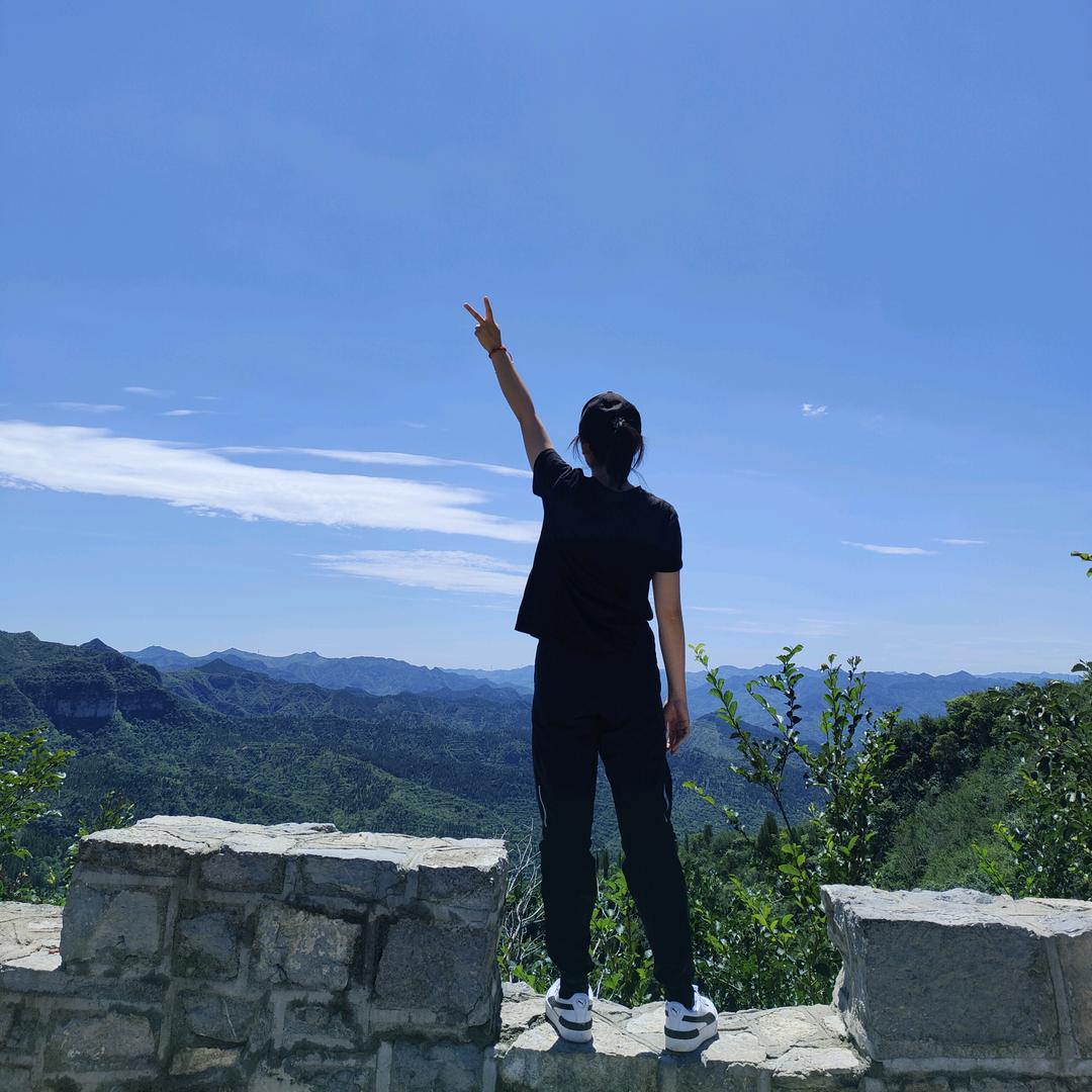帆茄炒蛋