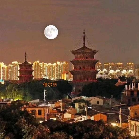 佳尔丽