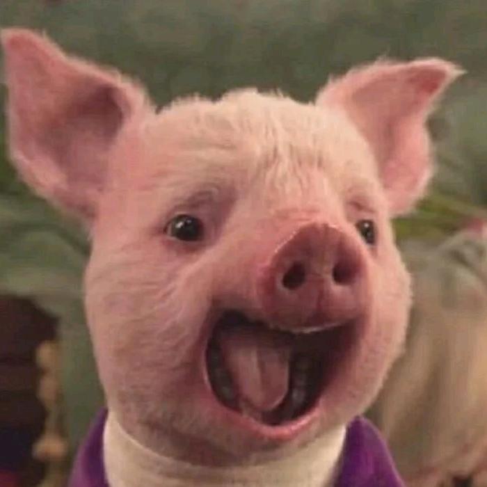 小张今天瘦了嘛