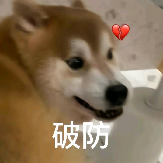 向阳