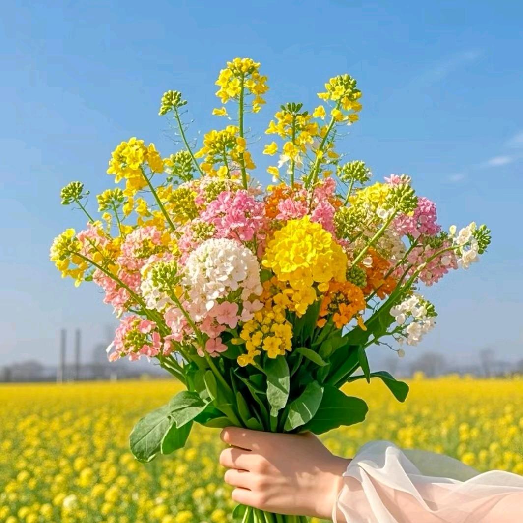 馨中玥直播88号