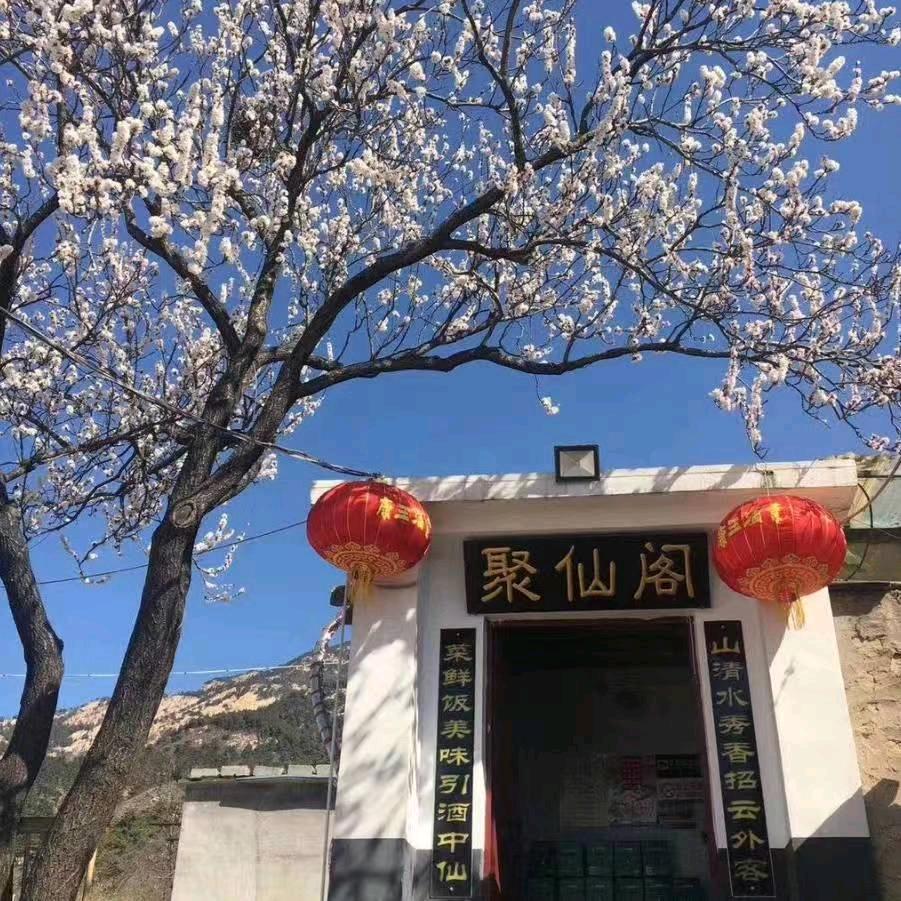 聚仙阁山庄