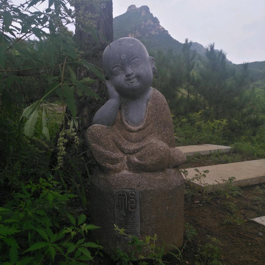 塞纳
