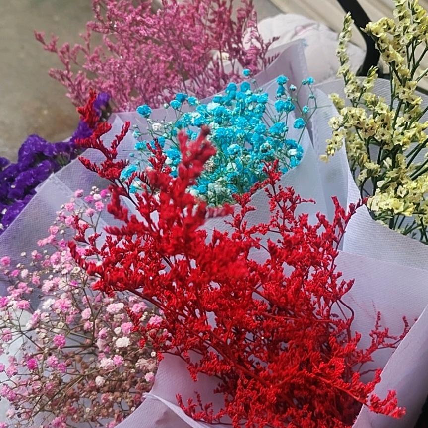 芯芯