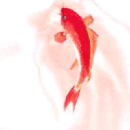 🌈尐魚ღ