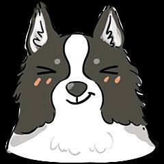 格式画模型小铺