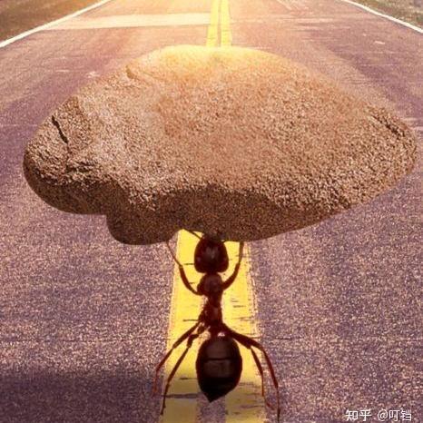 反方向
