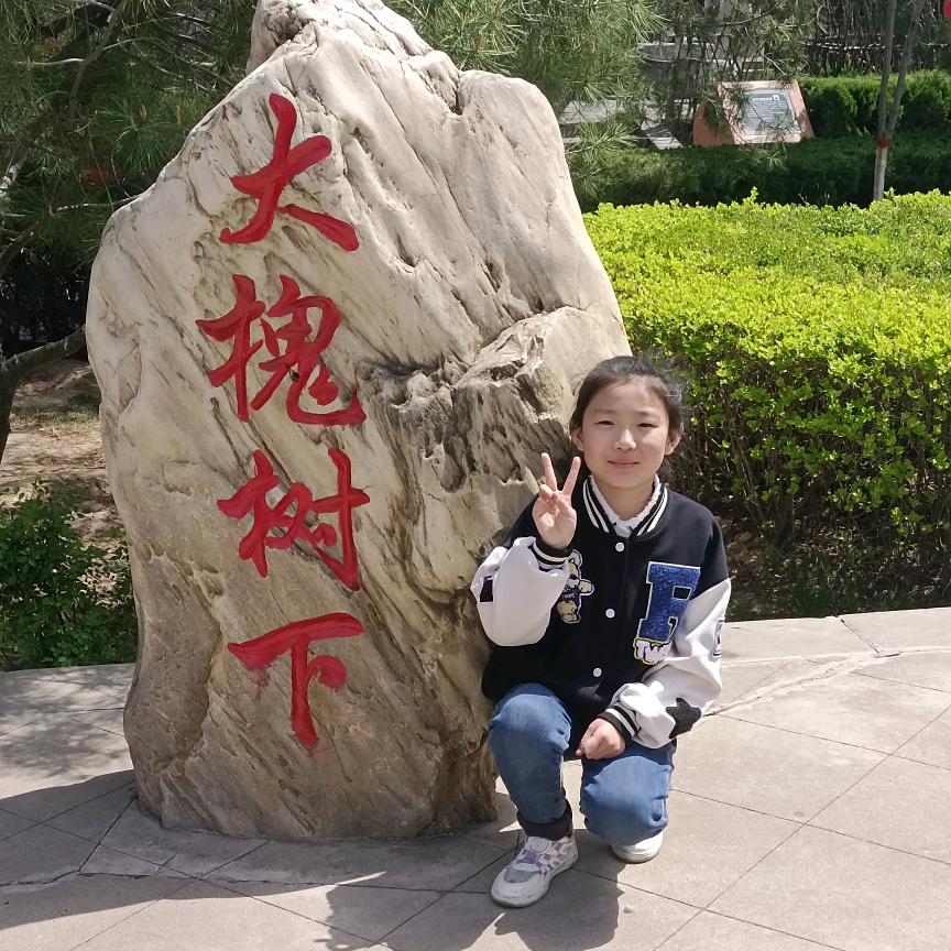 与狼共舞