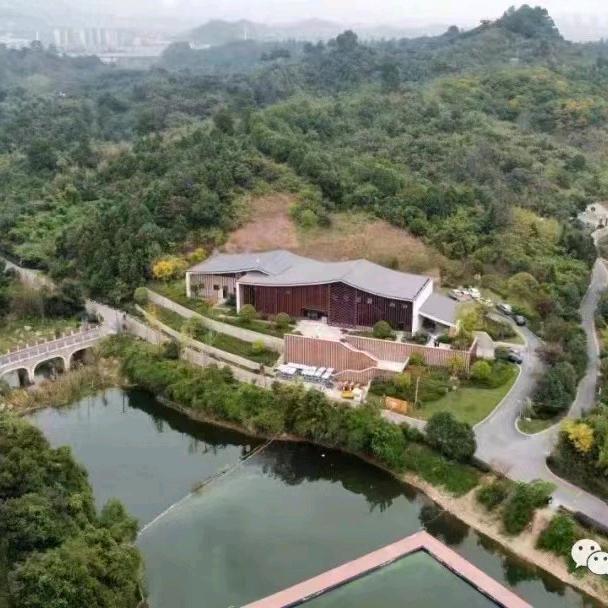杨树湾