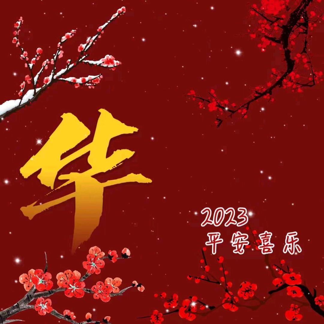华美LI