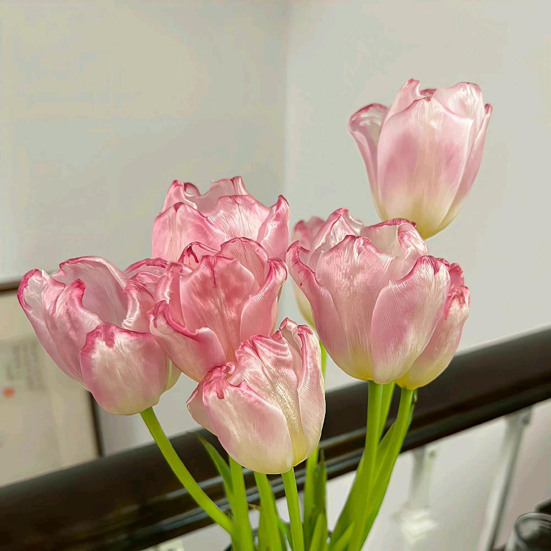 慧欣