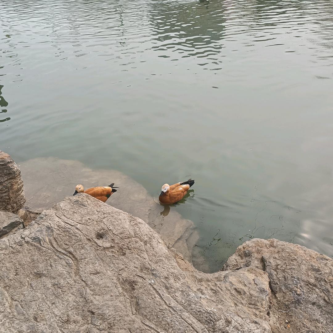 且行     且珍惜