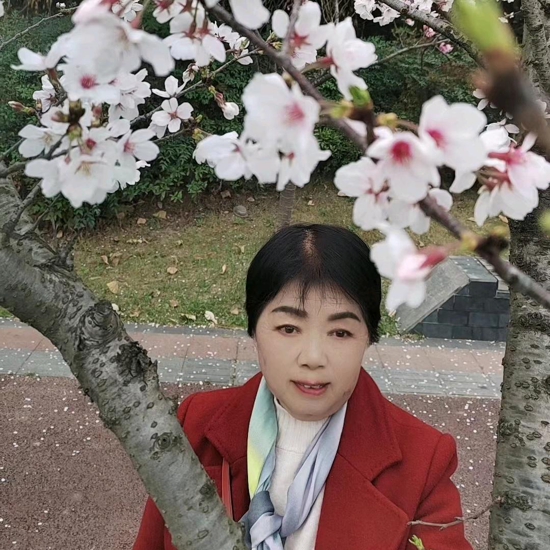王三姐