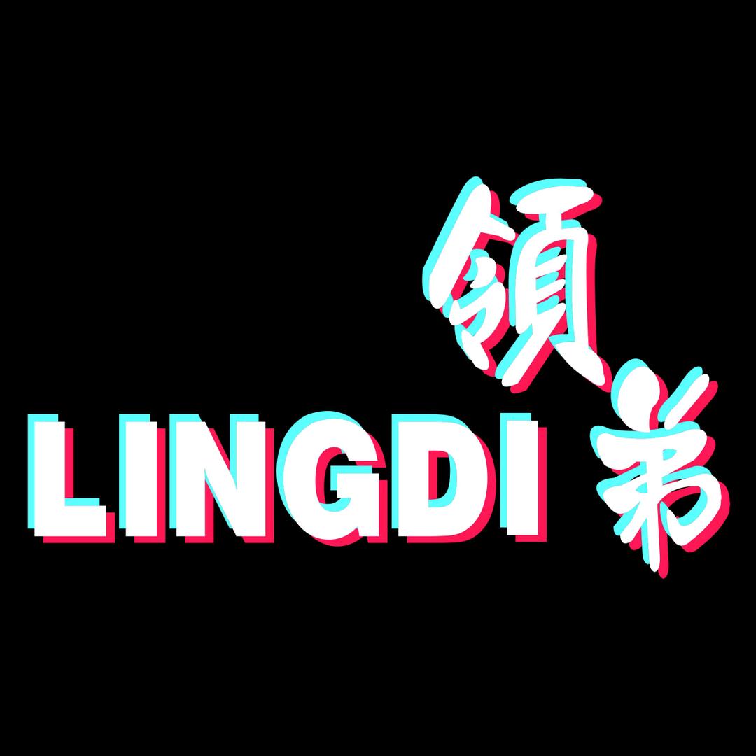 领弟服饰-新疆总代