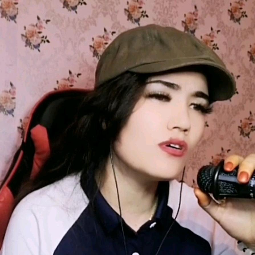 阿米娜 歌手 🎤