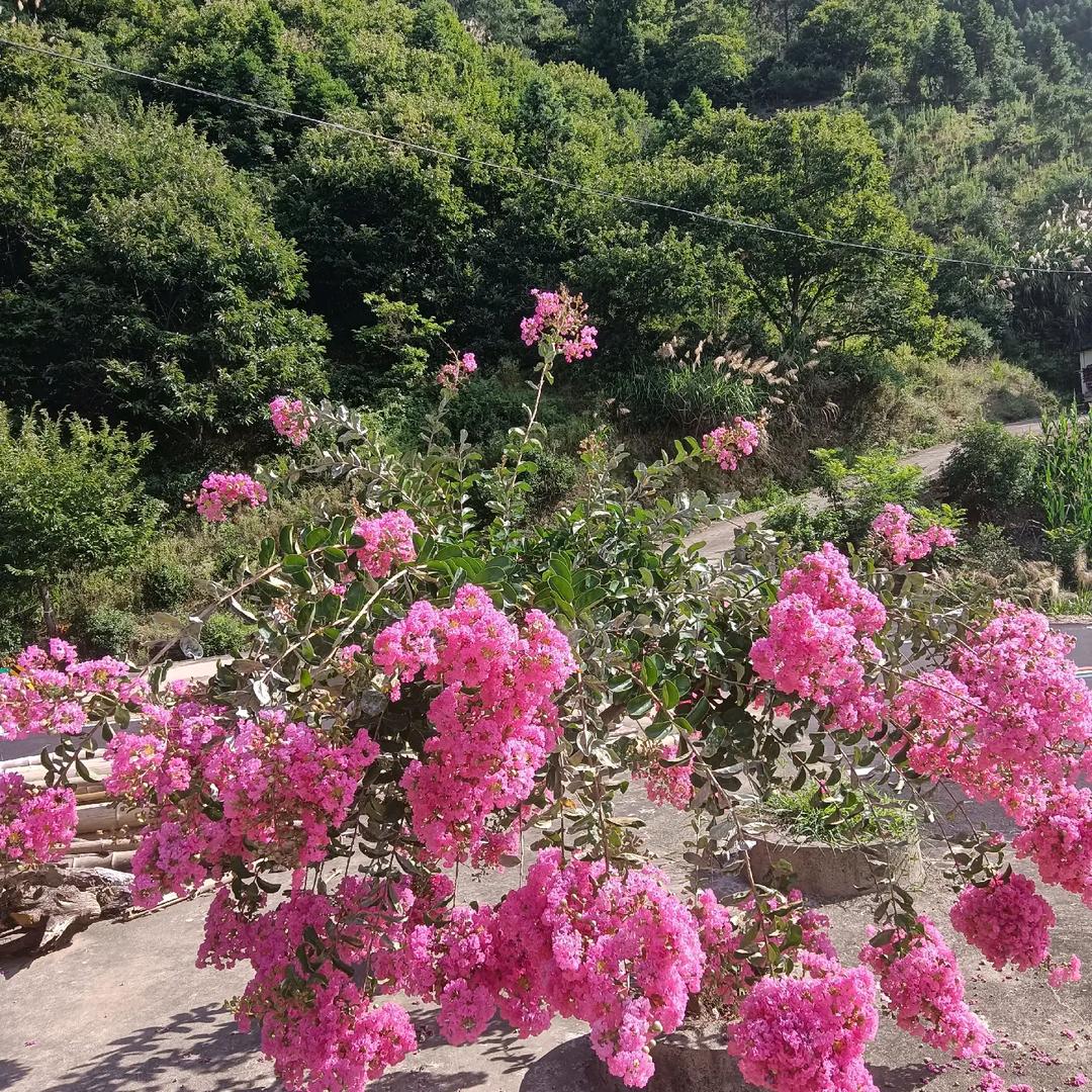 健康幸福